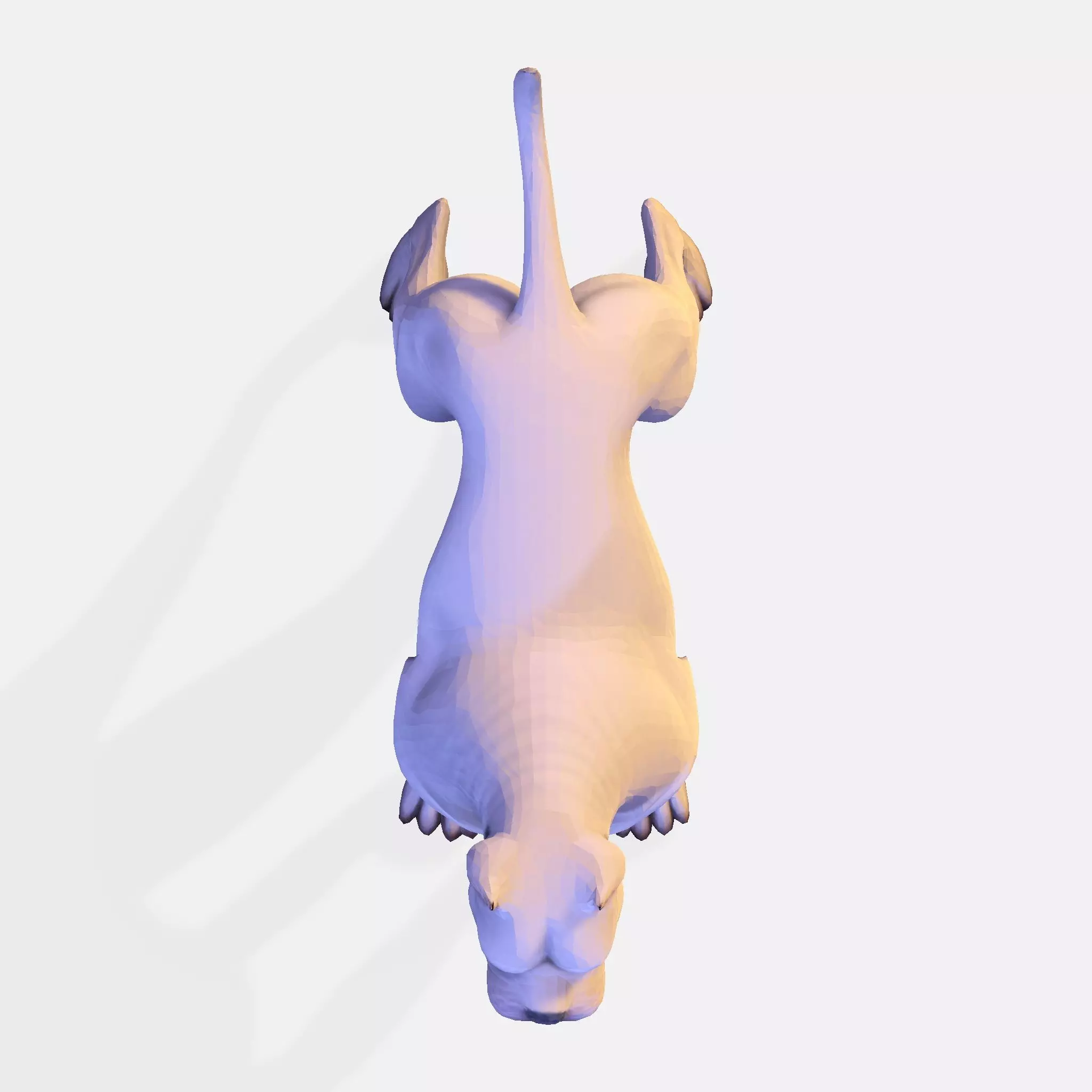 Dog Argentin 3D model Low-poly 3D model_20