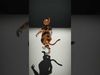 Animated Calico Cat model pack Low-poly 3D model_2