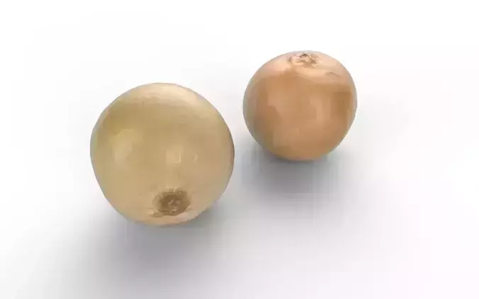 Onion M01 Low-poly 3D model 5