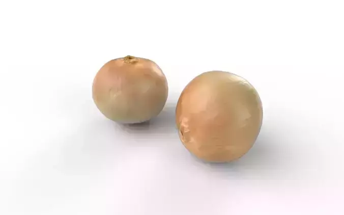 Onion M01 Low-poly 3D model 4