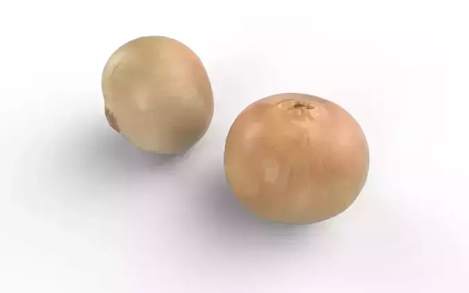 Onion M01 Low-poly 3D model 6