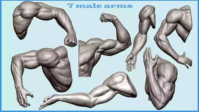 7 male arm poses