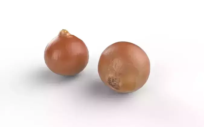 Onion M03 Low-poly 3D model 4