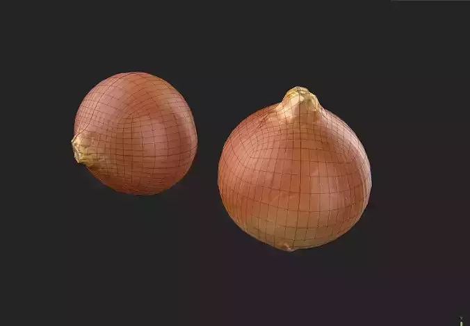 Onion M03 Low-poly 3D model 7
