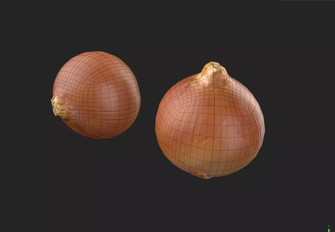 Onion M03 Low-poly 3D model_6