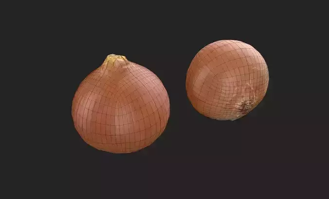 Onion M03 Low-poly 3D model 2