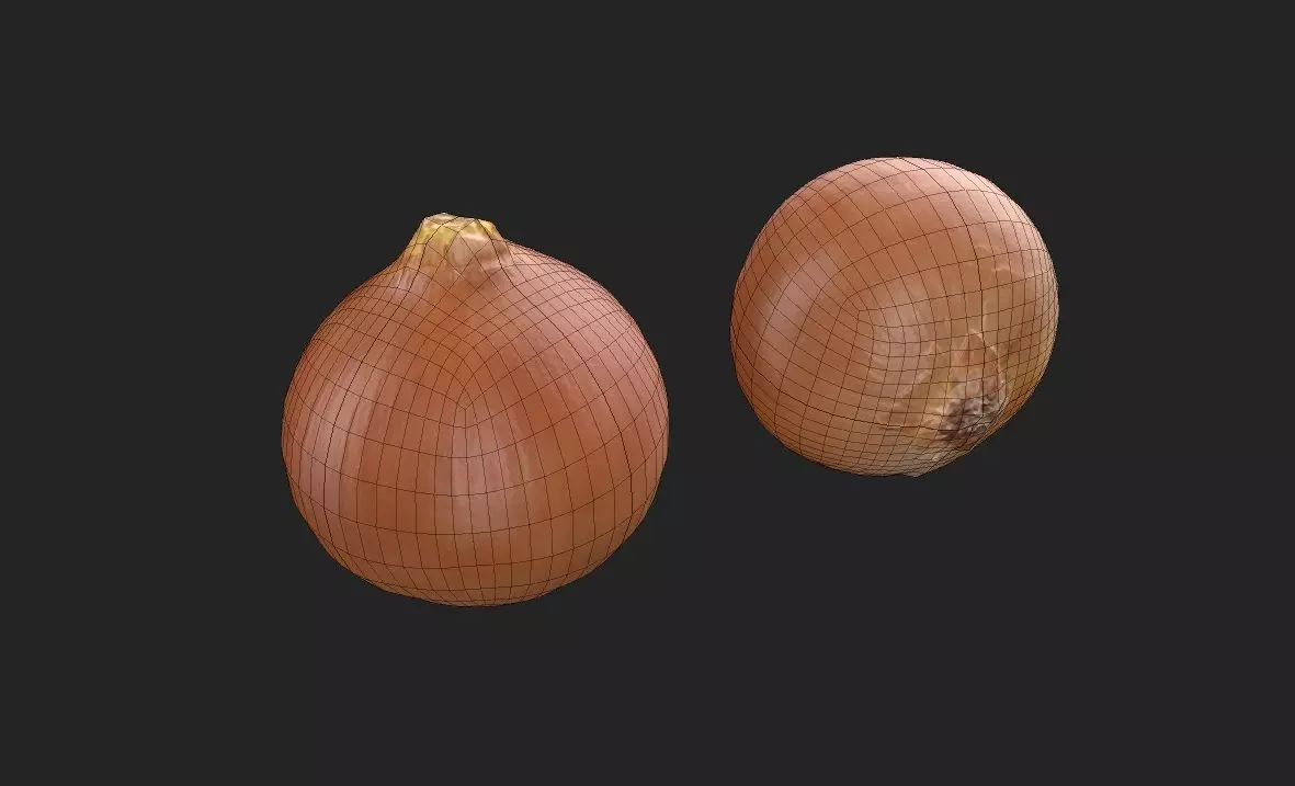 Onion M03 Low-poly 3D model_1