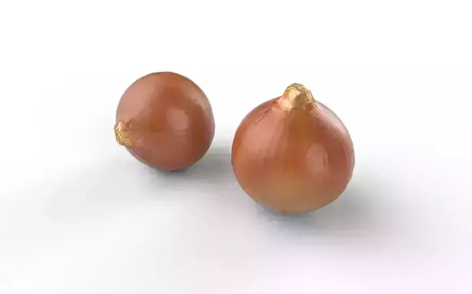 Onion M03 Low-poly 3D model 6