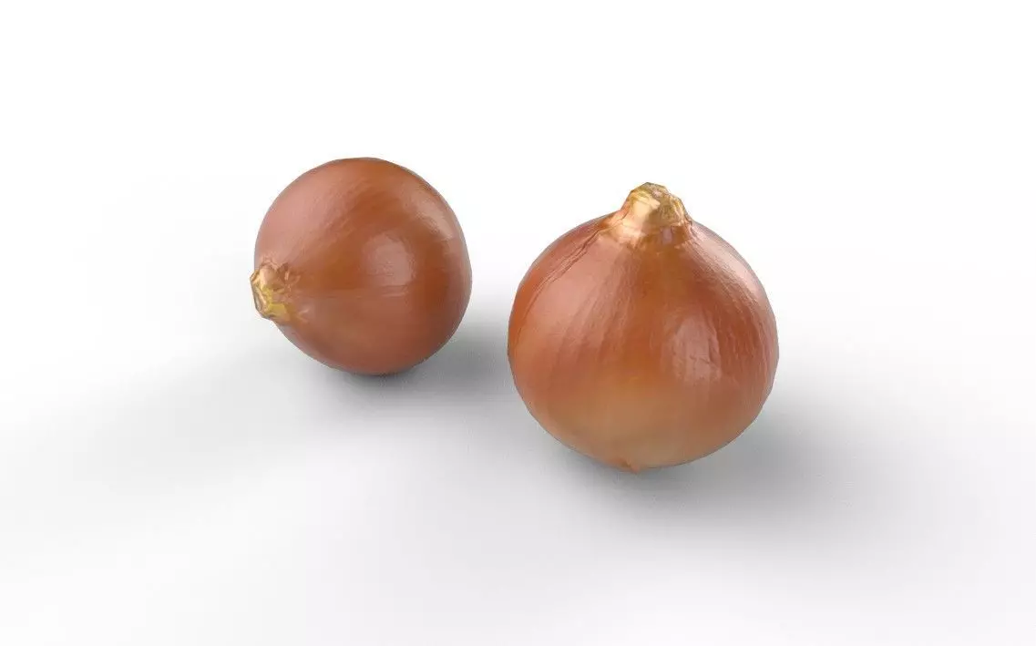 Onion M03 Low-poly 3D model_5