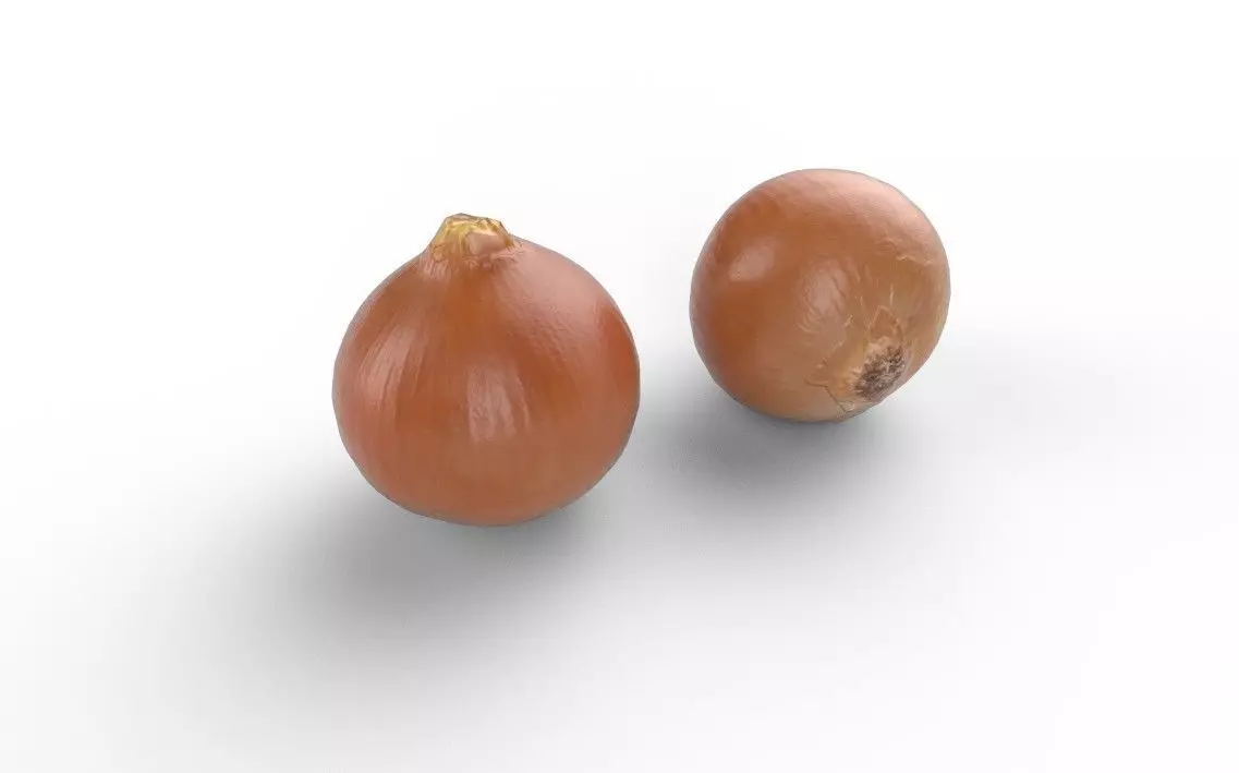 Onion M03 Low-poly 3D model_0