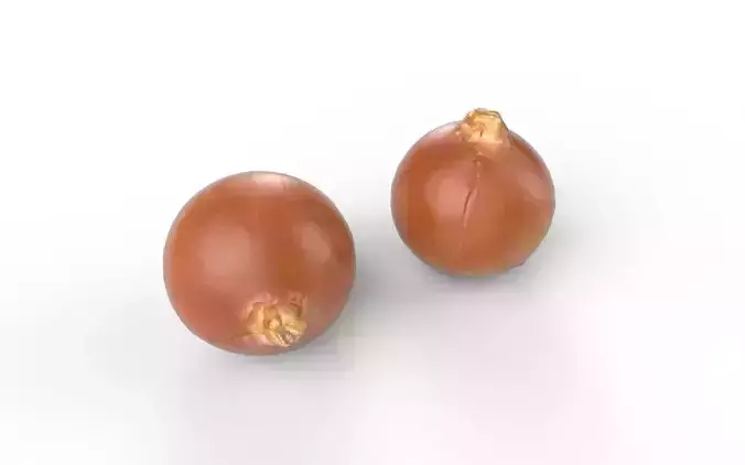 Onion M03 Low-poly 3D model 5