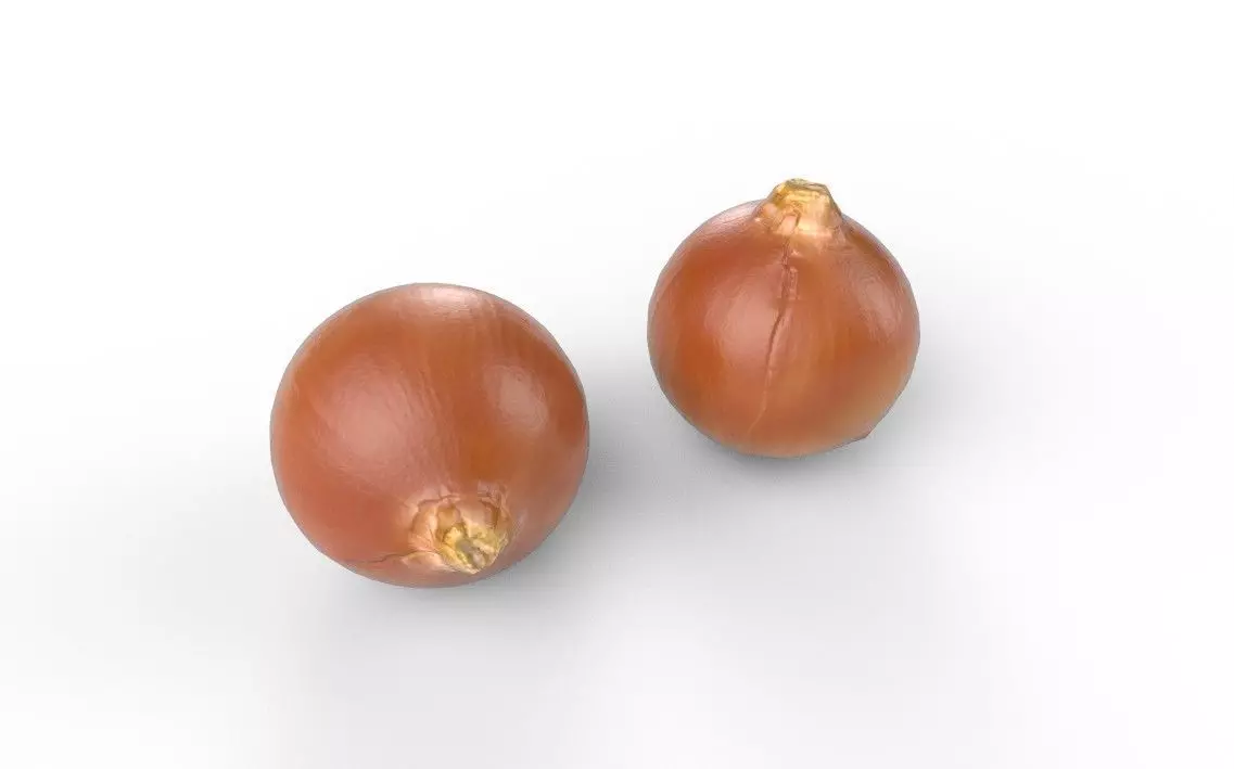 Onion M03 Low-poly 3D model_4