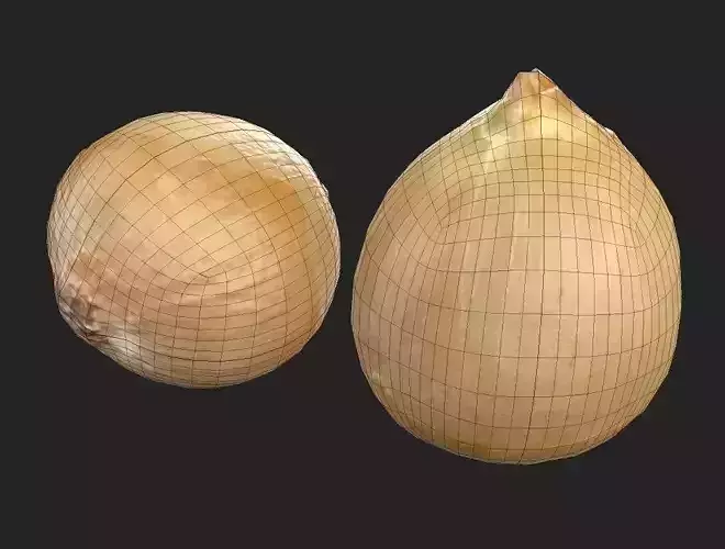 Onion M04 Low-poly 3D model 7