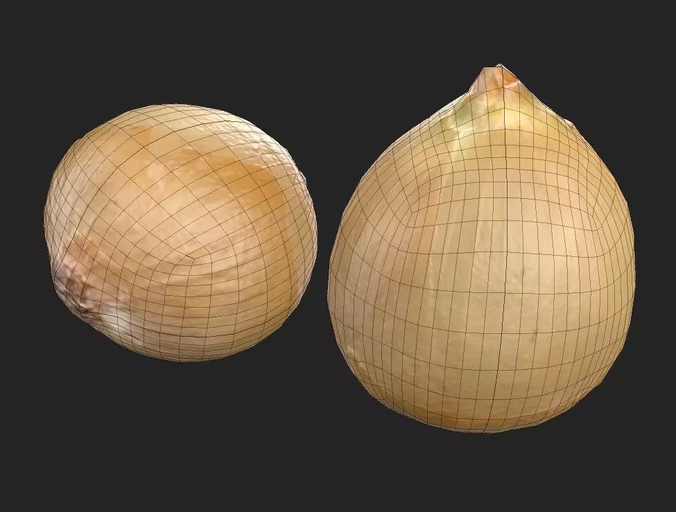 Onion M04 Low-poly 3D model_6