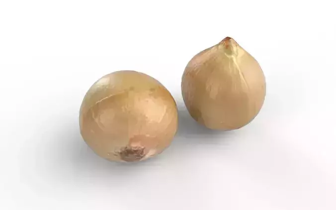 Onion M04 Low-poly 3D model 5