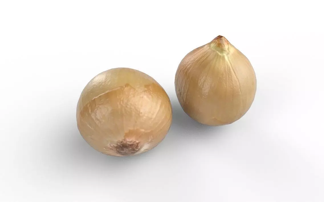 Onion M04 Low-poly 3D model_4