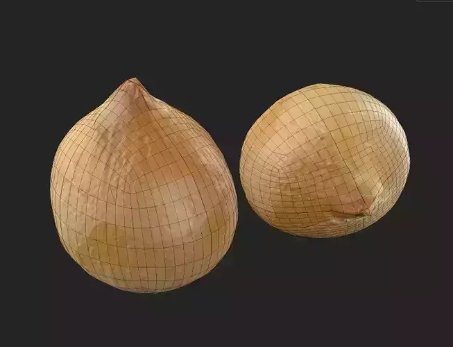 Onion M04 Low-poly 3D model 2