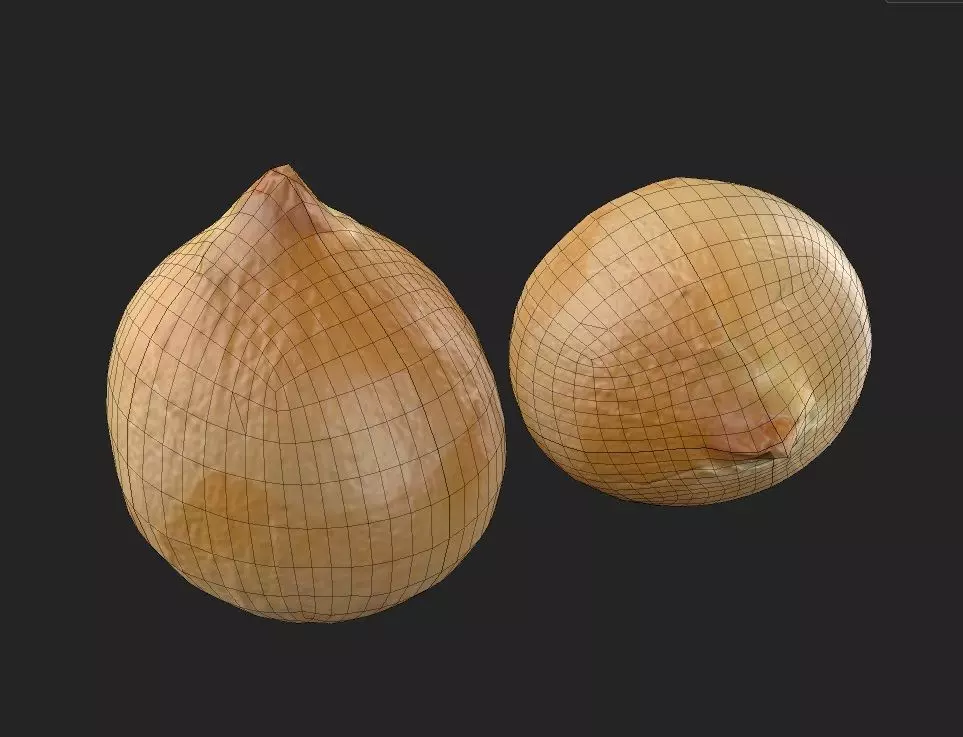 Onion M04 Low-poly 3D model_1