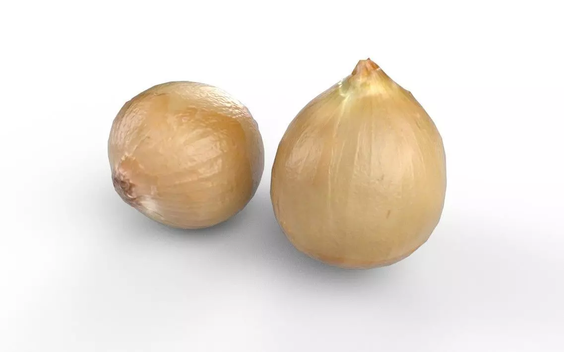 Onion M04 Low-poly 3D model_5