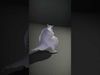 Playful Hippo Character model pack Low-poly 3D model_2