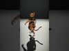 Charming Creature Collection _18