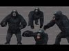 LION AND GORILLA  3D Model Collection_3