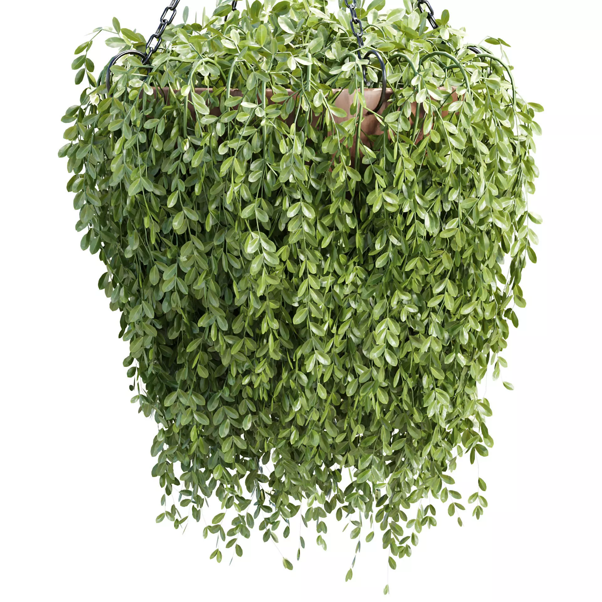 Hanging Plant 3D Model Vol 327 3D model_2