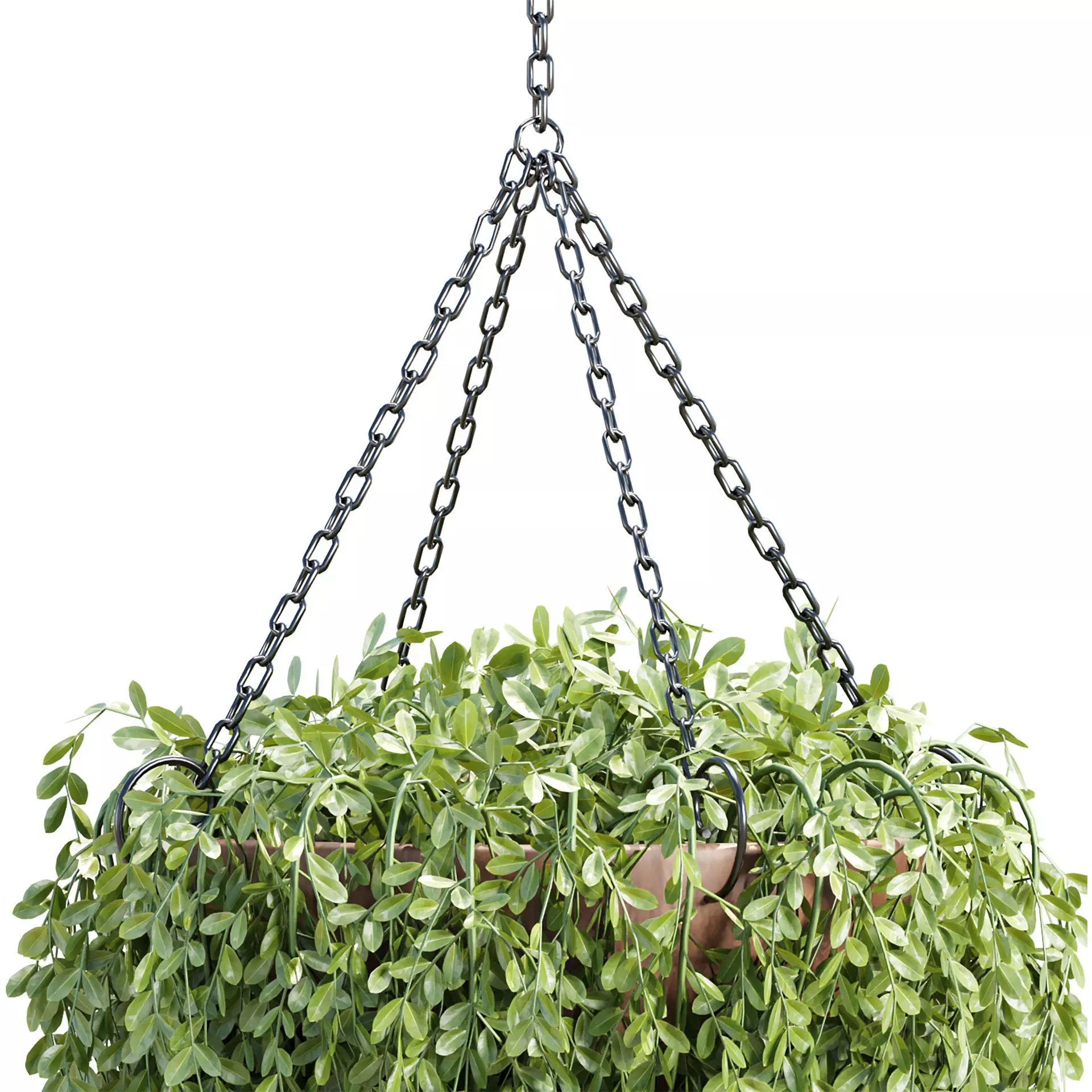 Hanging Plant 3D Model Vol 327 3D model_3