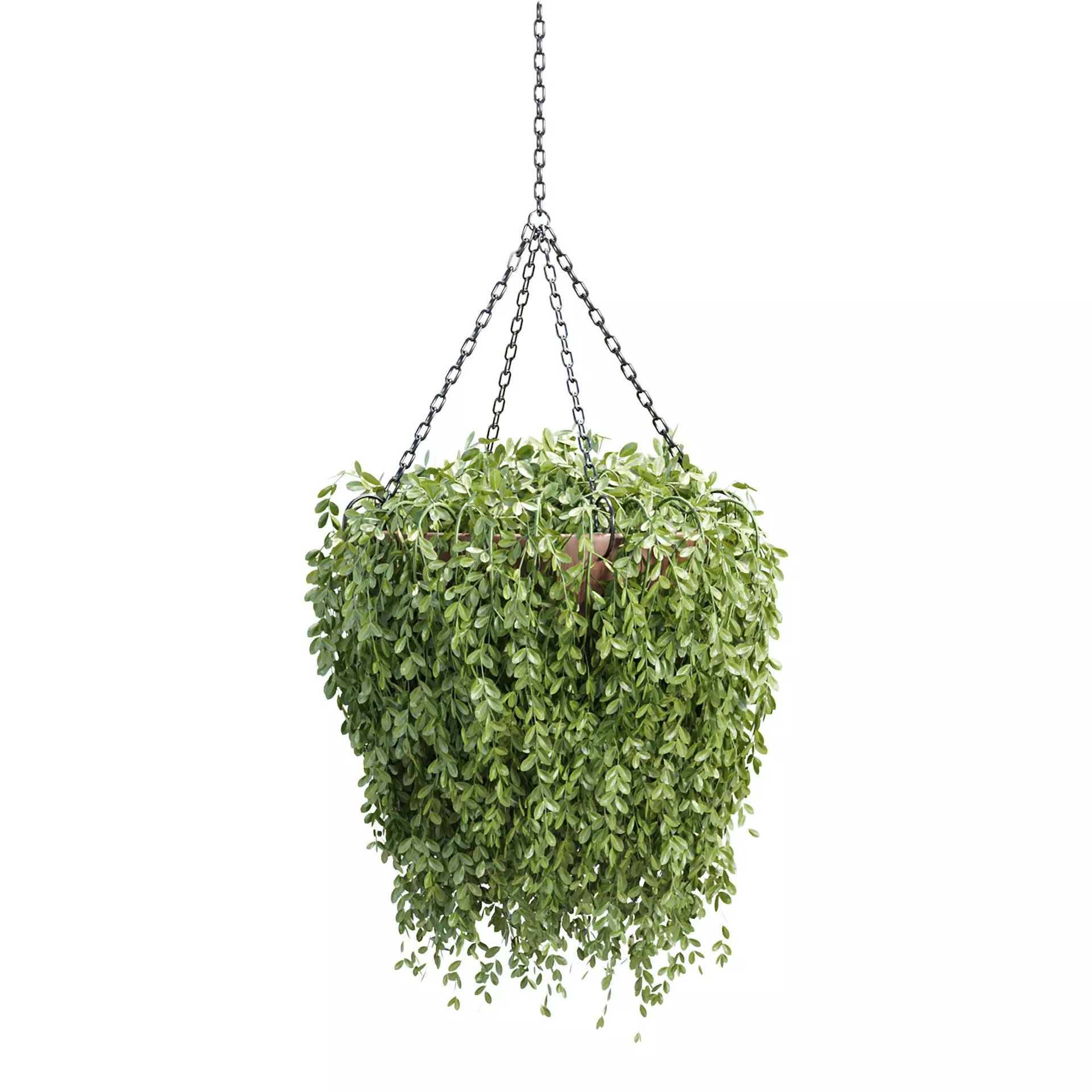 Hanging Plant 3D Model Vol 327 3D model_1