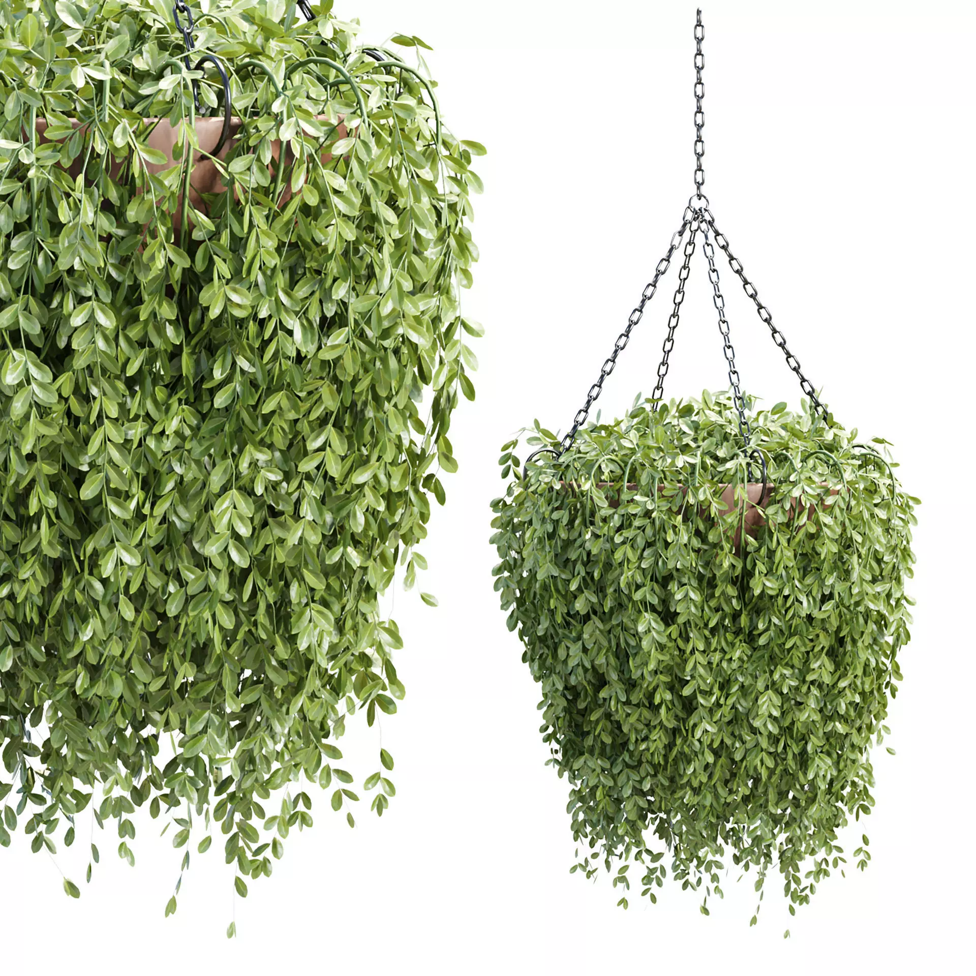 Hanging Plant 3D Model Vol 327 3D model_0