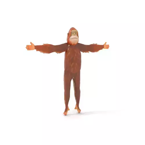 Orangutan Character model pack Low-poly 3D model