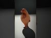 Smiling Bear Character model pack Low-poly 3D model_2