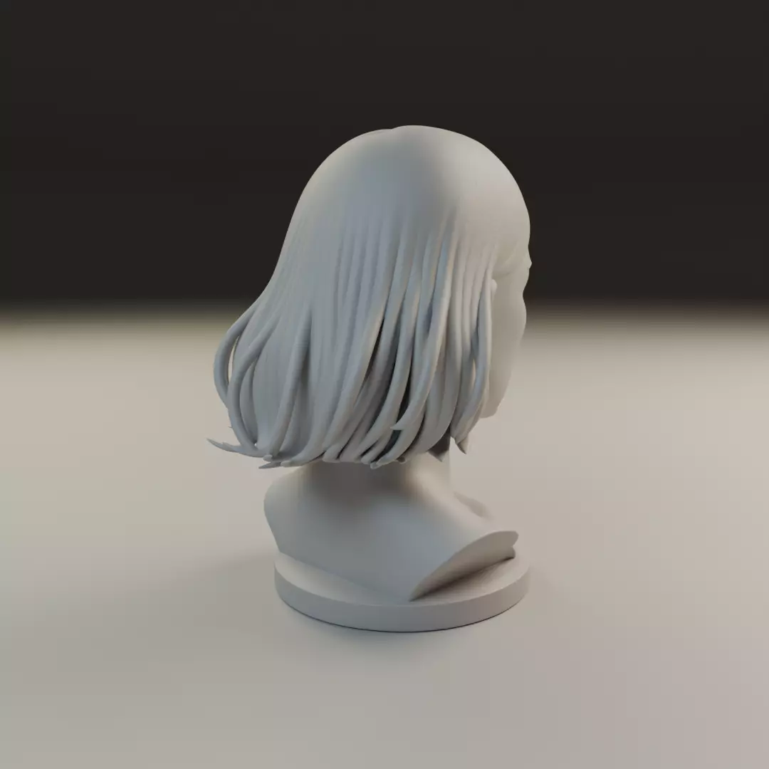 bust of woman 3D print model_13