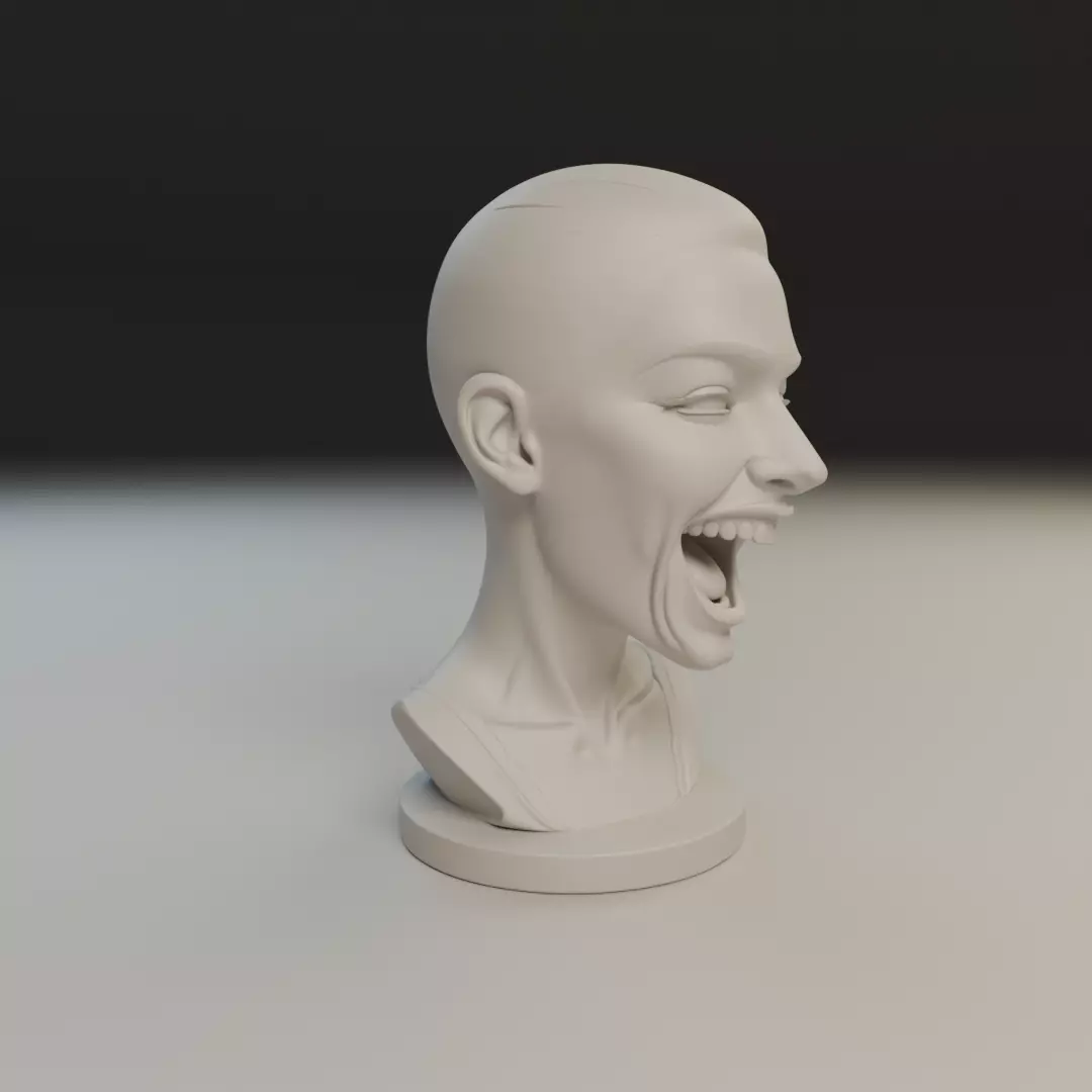 bust of woman 3D print model_11