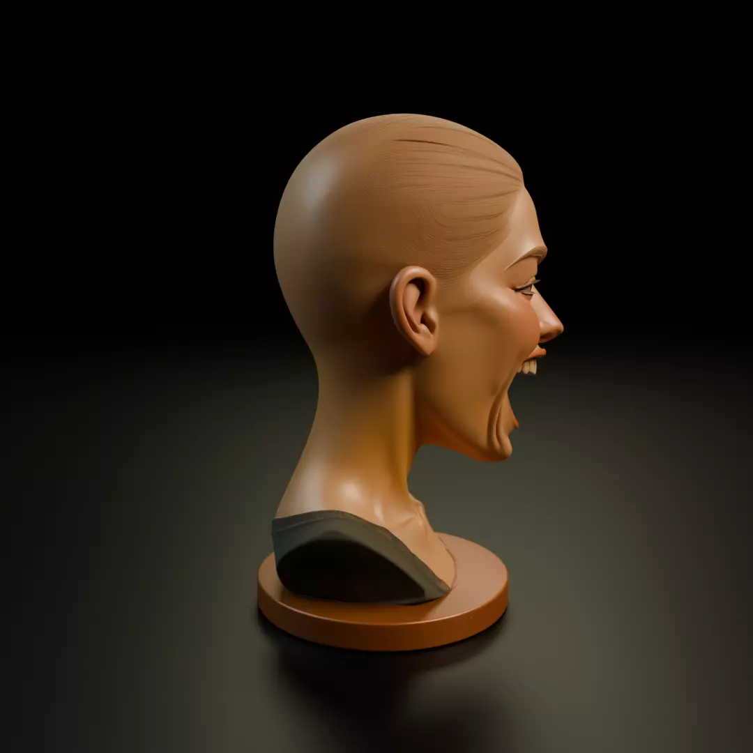 bust of woman 3D print model_2