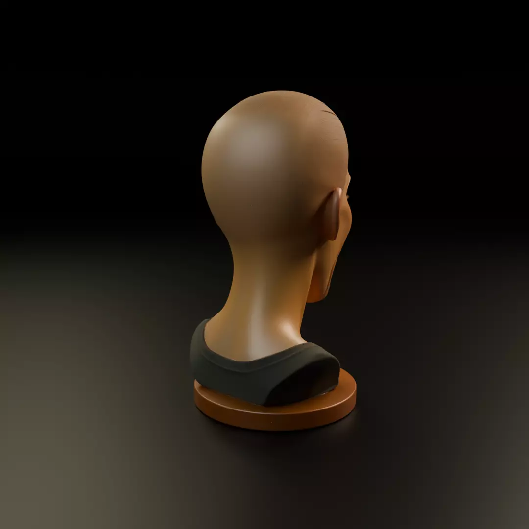 bust of woman 3D print model_14