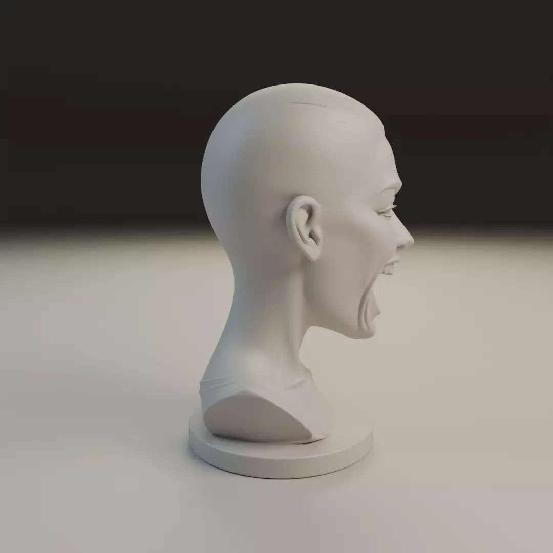 bust of woman 3D print model_1