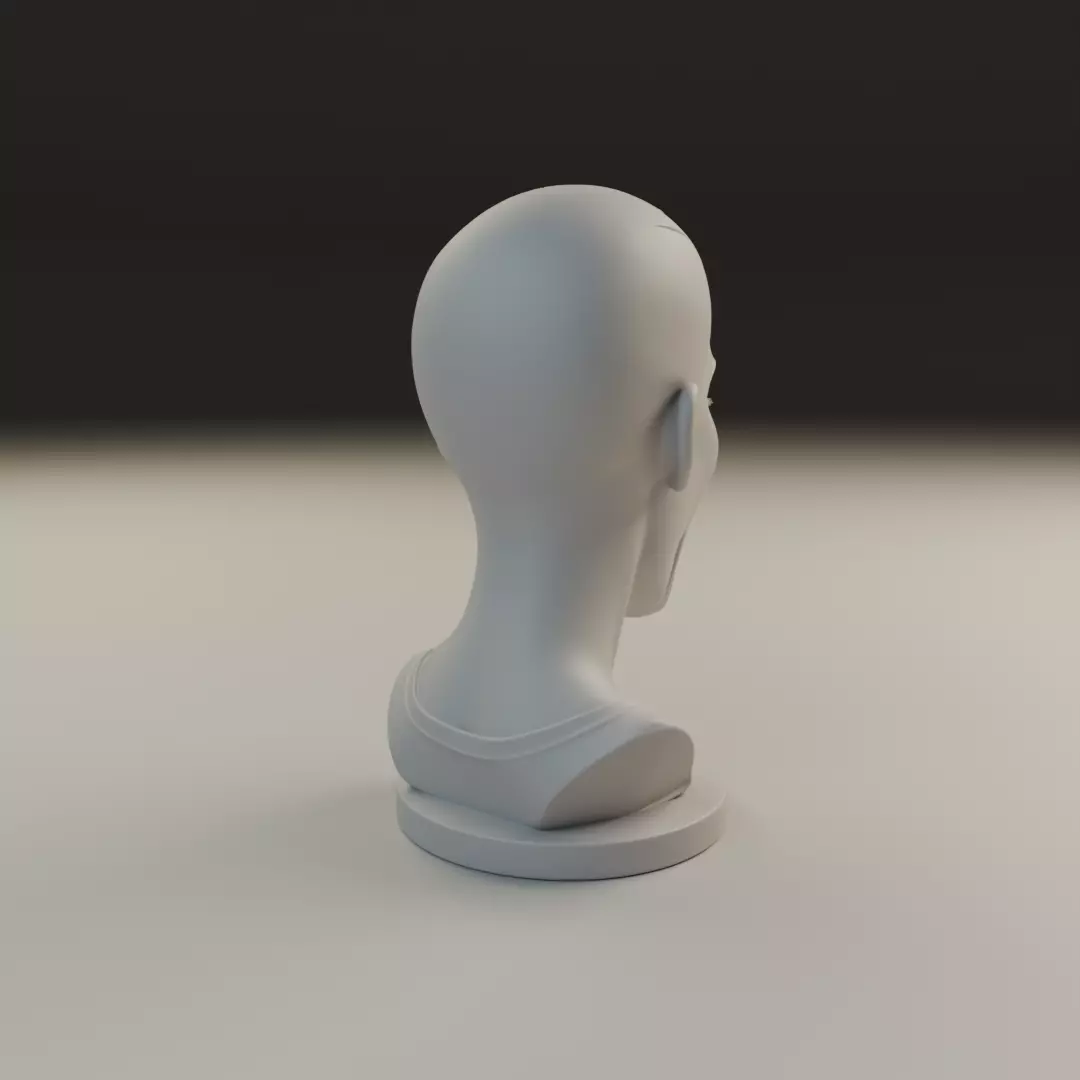 bust of woman 3D print model_13