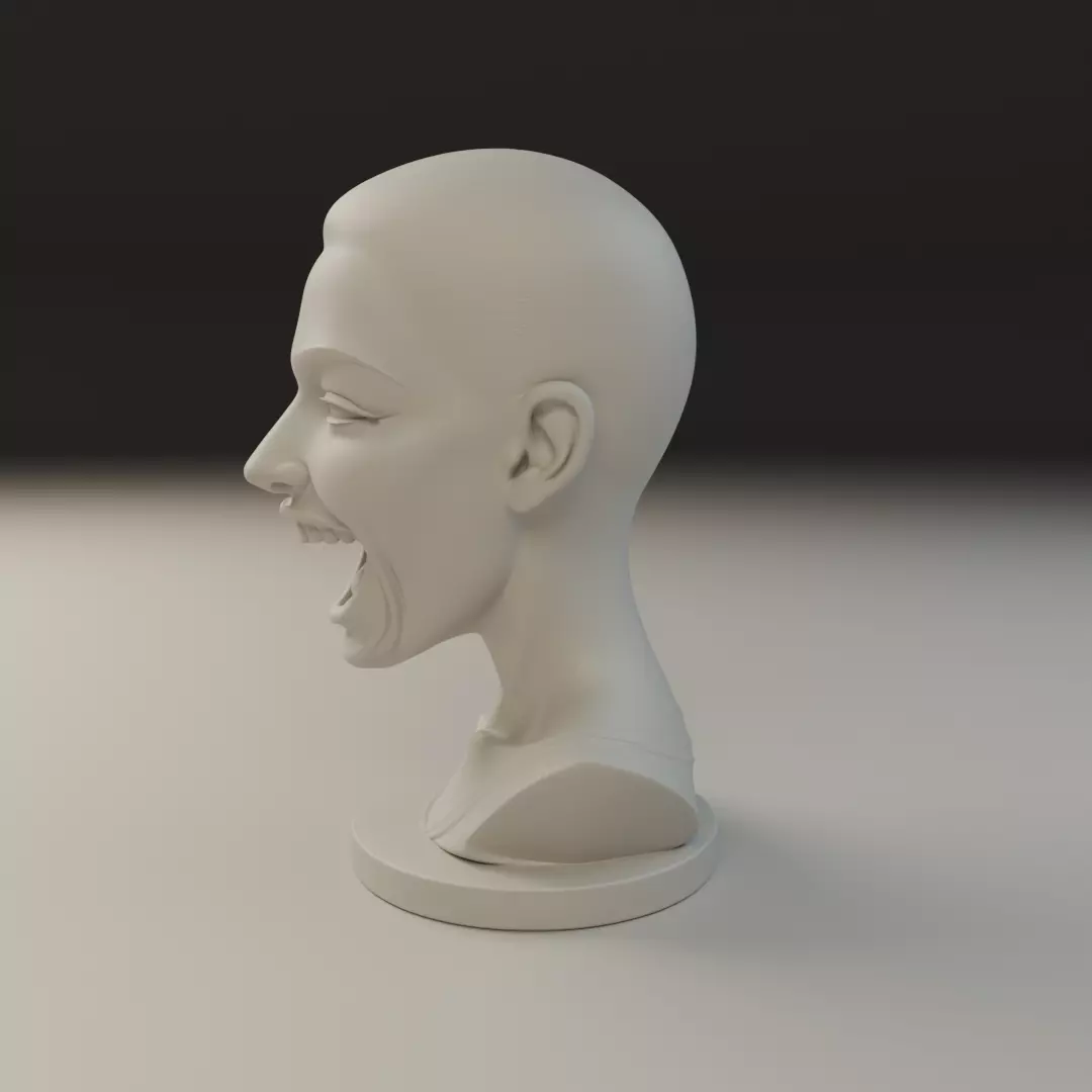bust of woman 3D print model_3