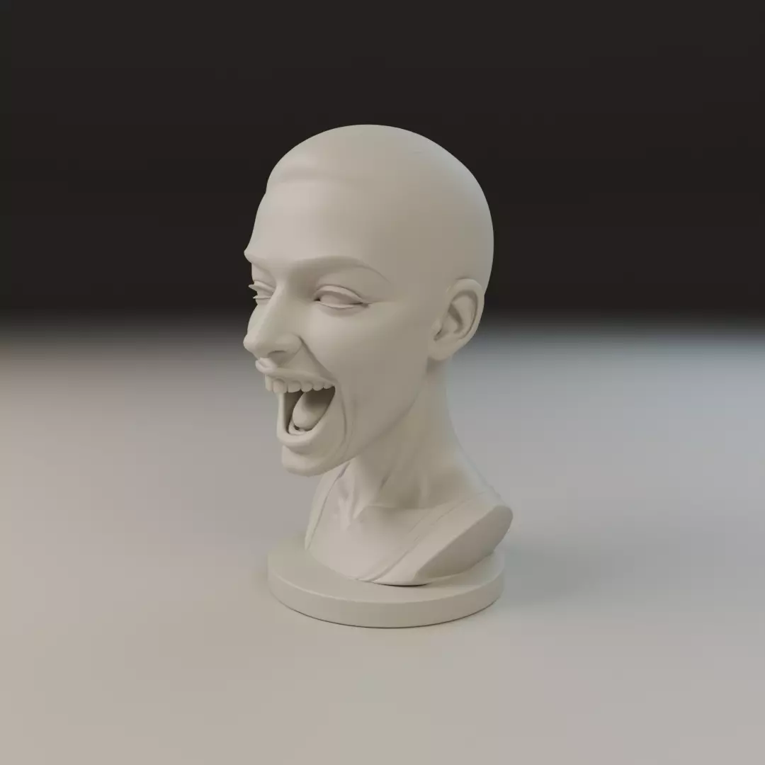 bust of woman 3D print model_9