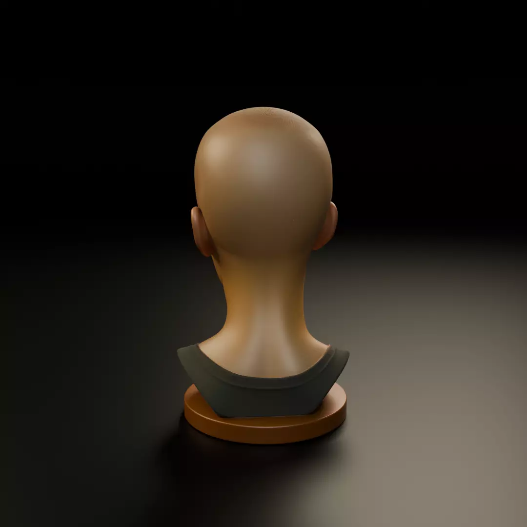 bust of woman 3D print model_6