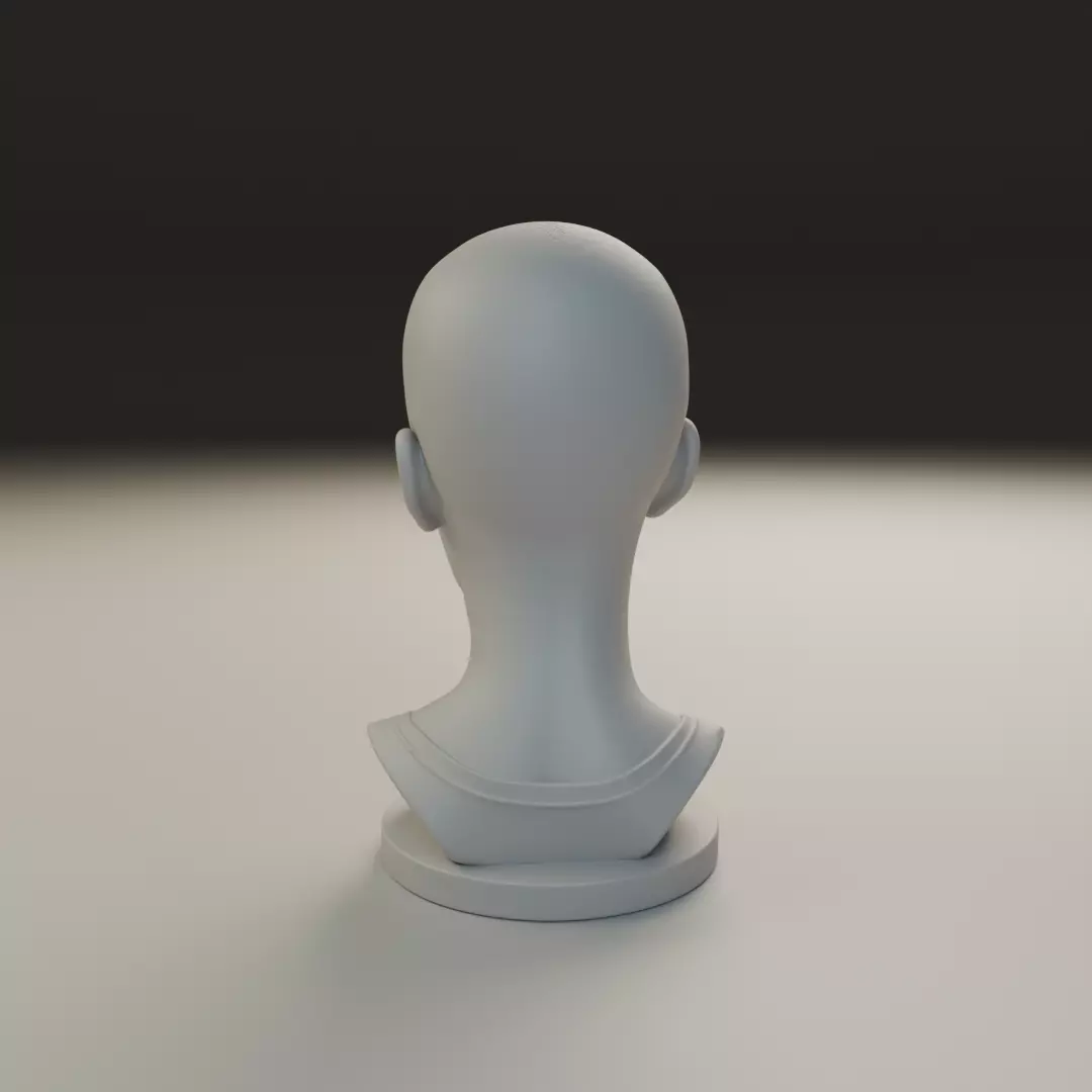 bust of woman 3D print model_5