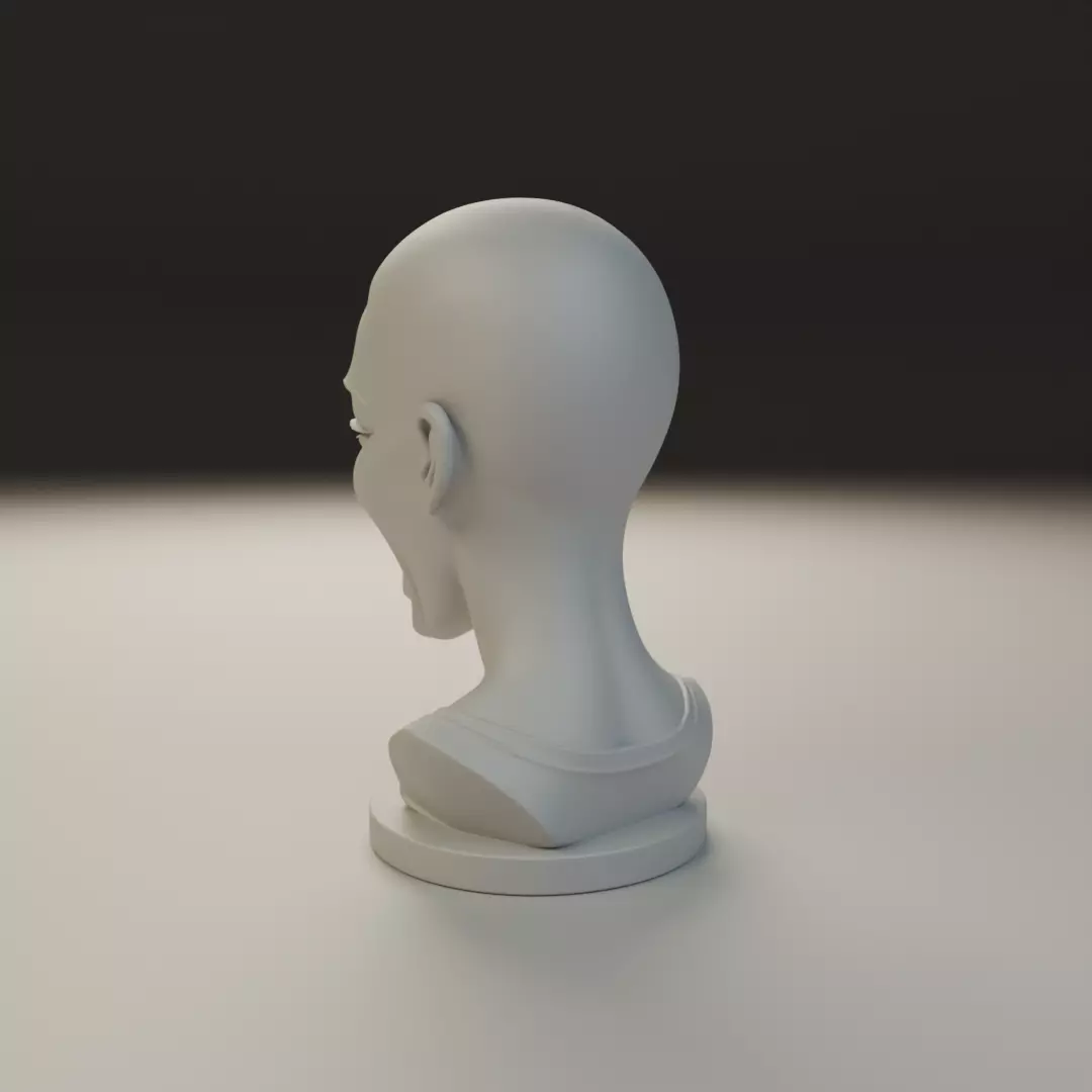 bust of woman 3D print model_7