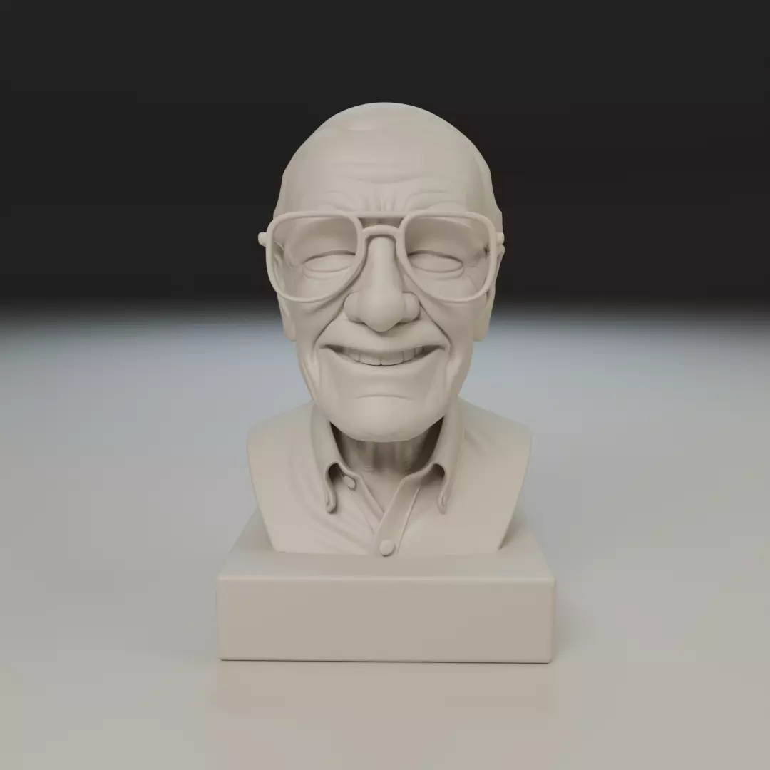 Stan Lee 3D print model_15