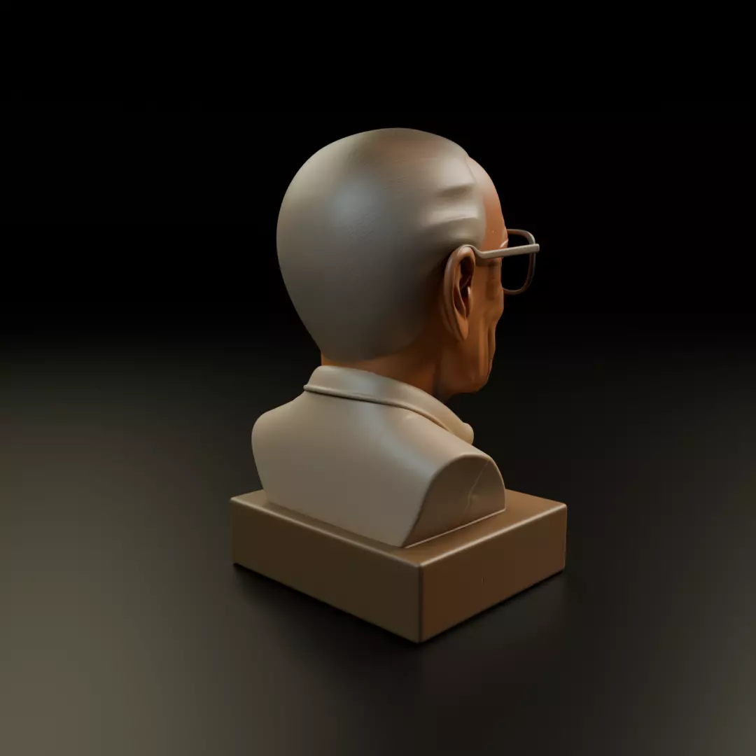 Stan Lee 3D print model_14