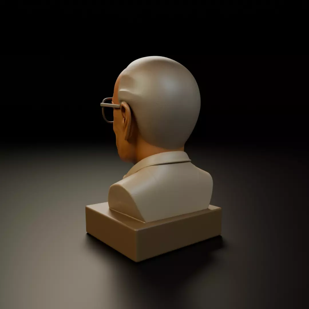 Stan Lee 3D print model_8