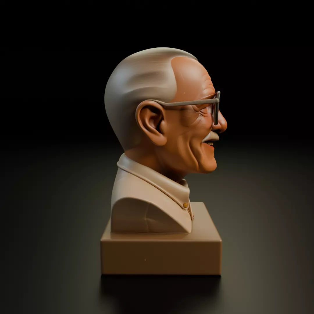 Stan Lee 3D print model_2