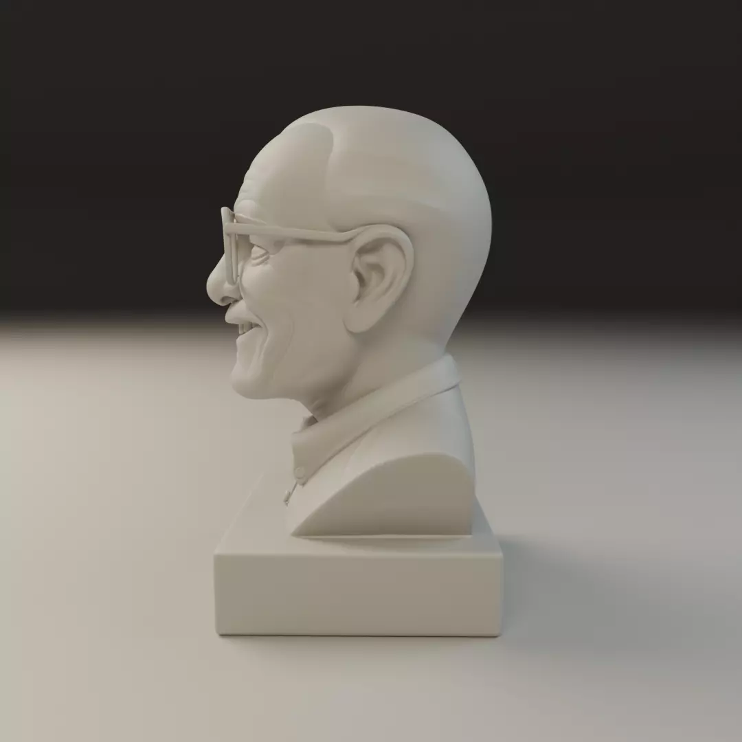 Stan Lee 3D print model_3