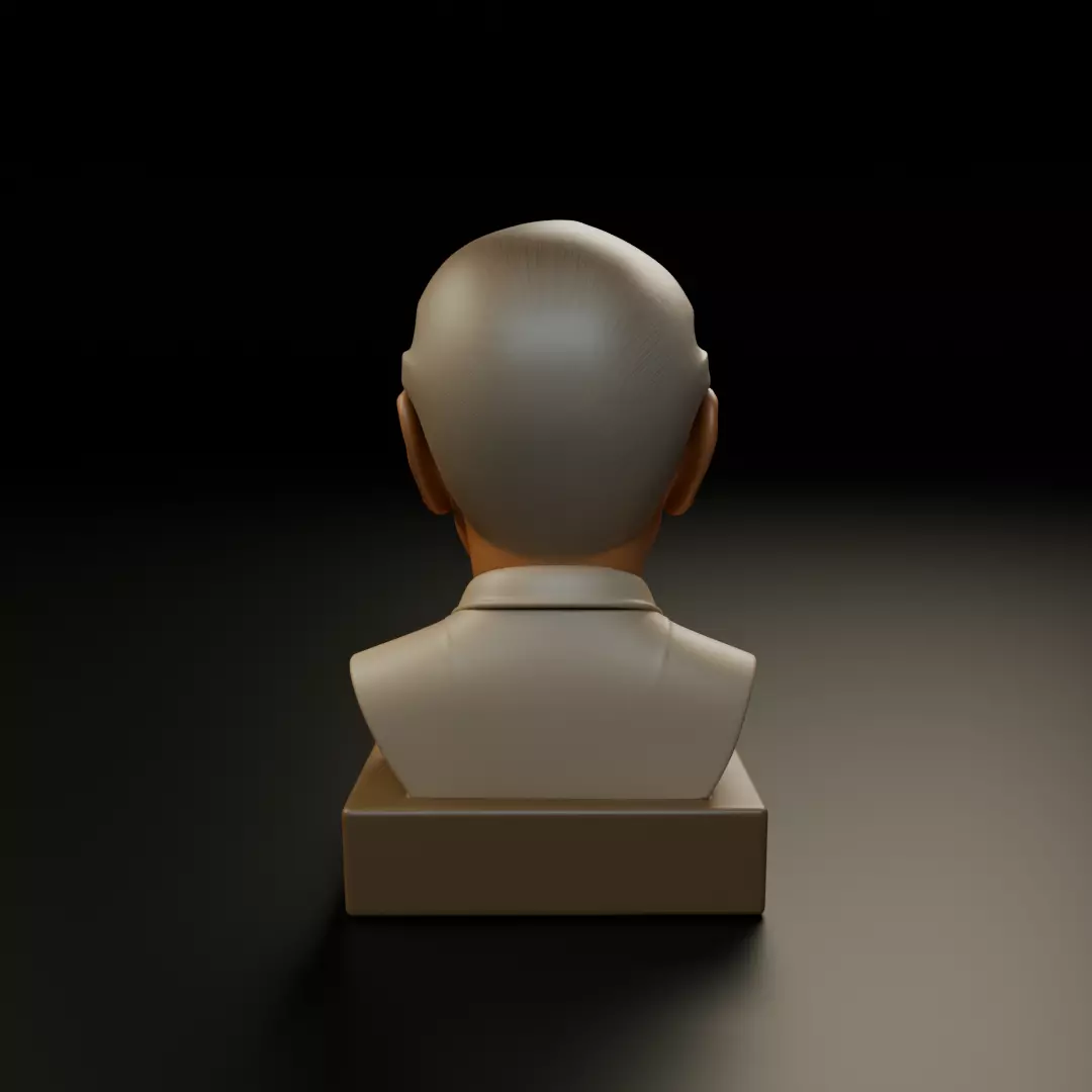 Stan Lee 3D print model_6