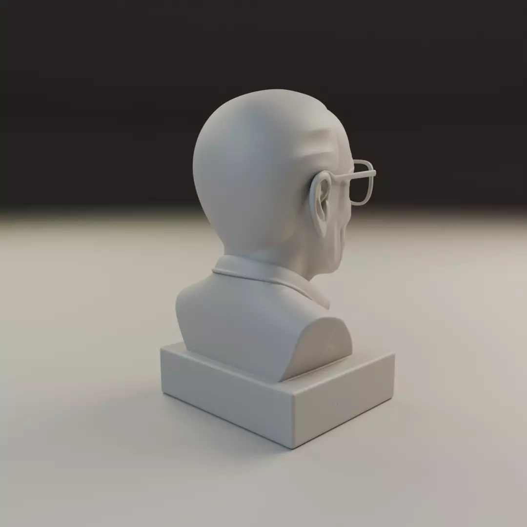 Stan Lee 3D print model_13
